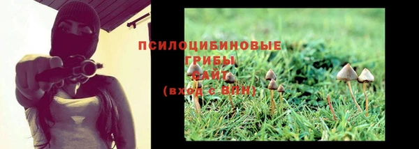 тгк Абинск