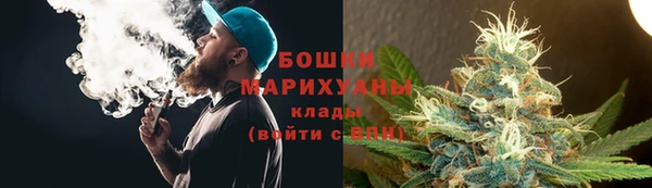 гашик Алексеевка