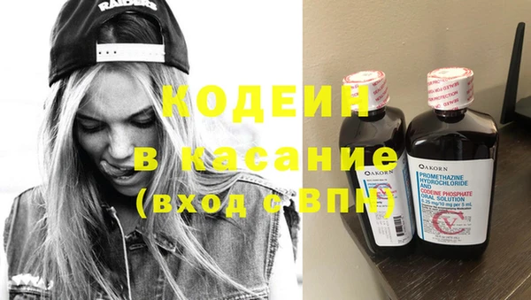 гашик Алексеевка