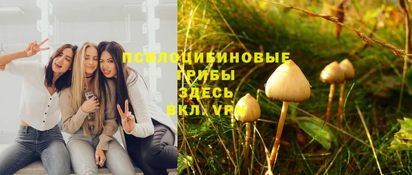 твердый Абаза