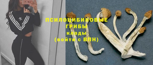спиды Алзамай